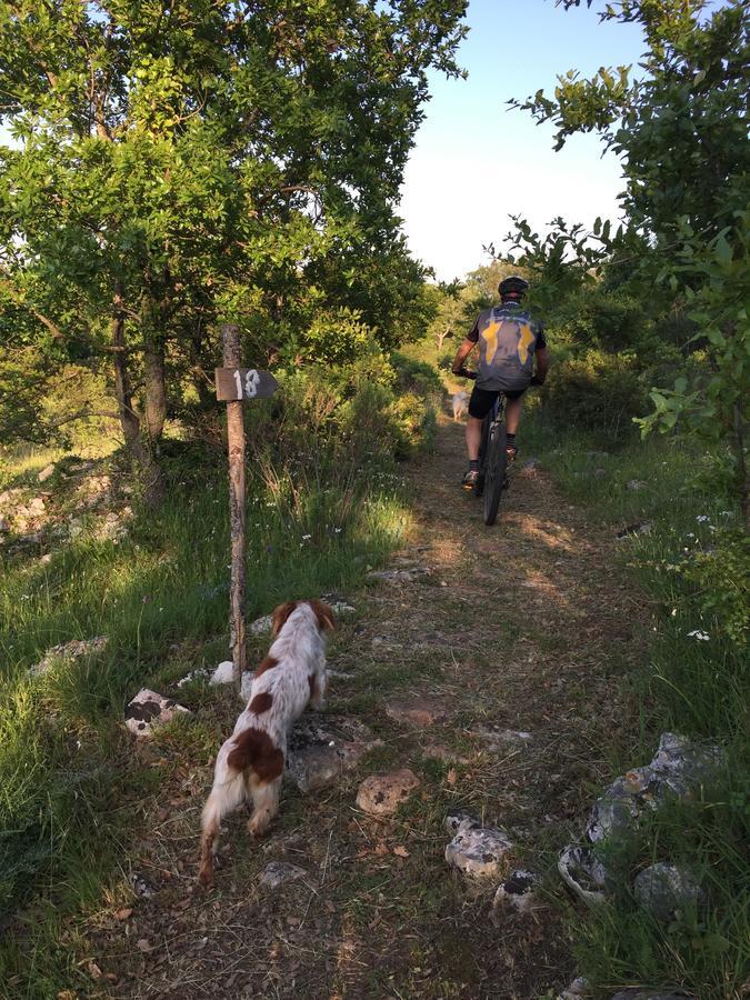 Masseria Camarda Ceglie Messapica Kültér fotó